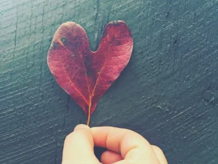 Listen To Your Body Starting From Within