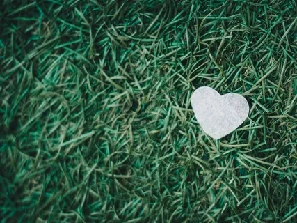 Listen To Your Heart | Insight Timer Live Replay