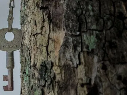 Listen To Your Heart Key To Life