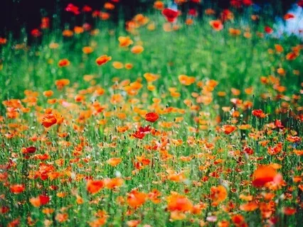 Listen To Your Needs And Rekindle Joy