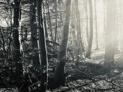 Listening: Asger Suhr