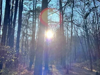 Listening Beyond Judgement