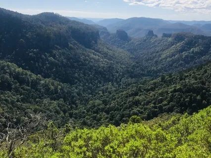 Listening Deeply | Receiving From The Earth