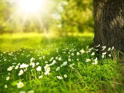 Listening: For Calm & Relaxation