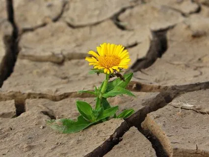 'Listening, Feeling, & Being' Meditation (No Introduction)