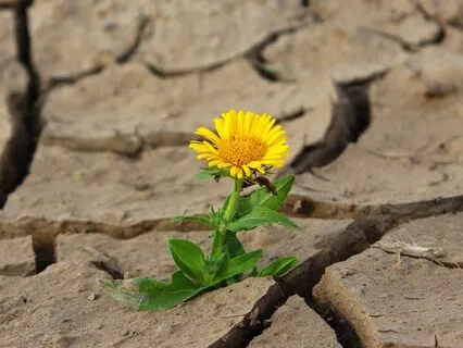 'Listening, Feeling, & Being' Meditation (With Introduction)