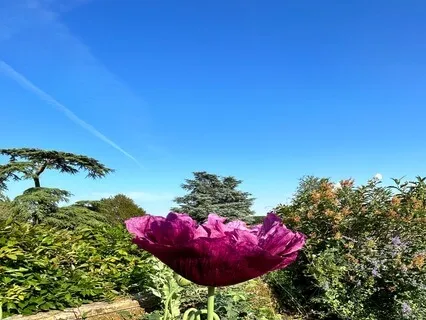 Listening For A Deeper Understanding To Release Loneliness