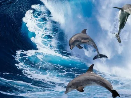 Listening For The Leap