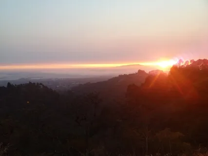 Listening Inwardly To The Tenderness