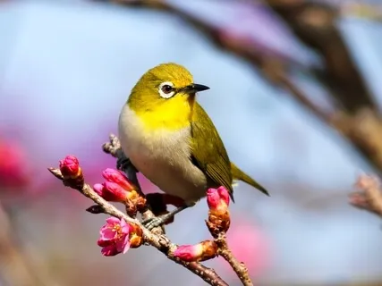 Cultivate Concentration With Listening