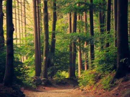 Listening To All of You - Uncovering Your Truth