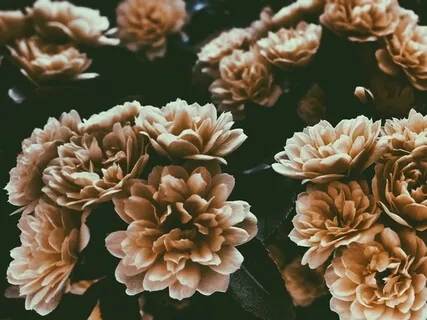 Listening To Anxiety