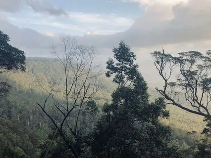 Listening To Sounds (7 Min)