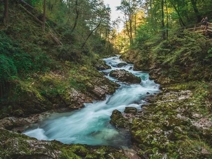 Listening To Sounds Series - A Stream