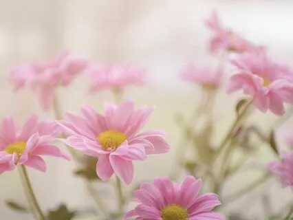 Connecting To The Body Meditation