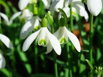 Listening To The Call Of The Land- January 28