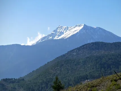 Listening To The Heart (Dealing With Overwhelm)