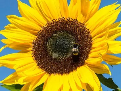 Listening To The Heart, Slowing Down & Building Self Empathy