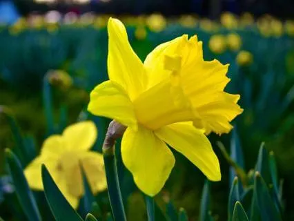 Listening To The Land - March 10