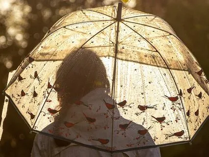Listening To The Relaxing Rain For Deep Sleep