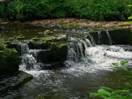 Listening To Your Body’s Signals With Compassion