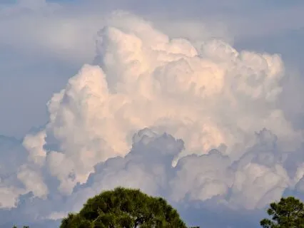 Listening To Your Emotions: Finding Clarity And Peace