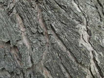 Listening To Yourself