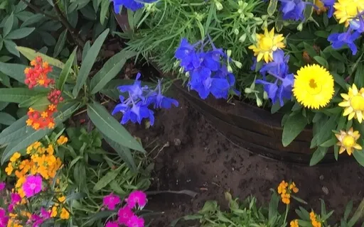 Listening With Empathy & Curiosity