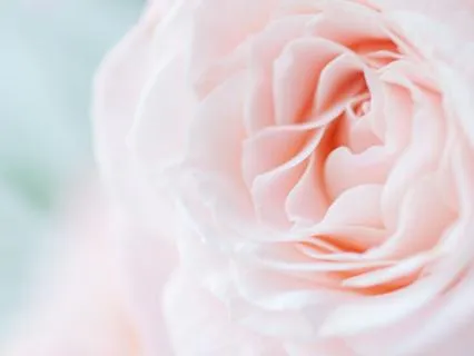 Listening With Kindness | Self-Compassion Meditation