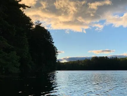 Listening With Your Senses