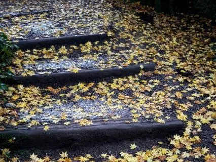 Listening Within: Discover Your Next Right Step