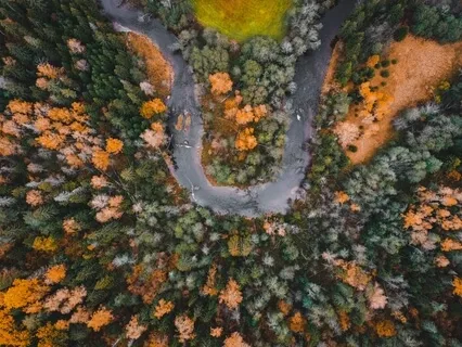 Little Bent Not Broken - Featured Guest: Marisa (Season 4)