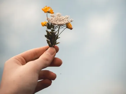 Little Choice, Big Changes