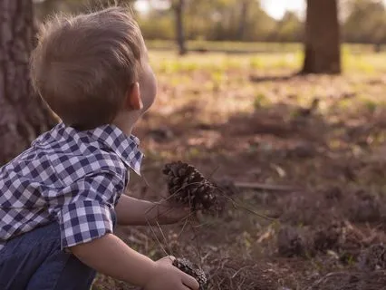 Little Explorer's Mind