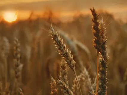 Little Messages Of Hope