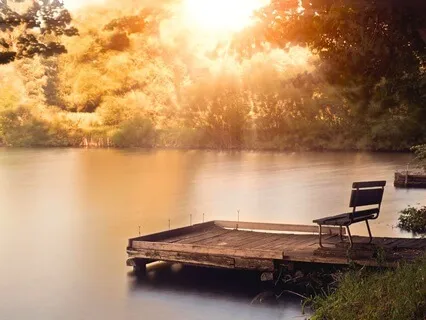 Little Miracles Everywhere