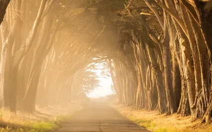 Little Morning Soundbath