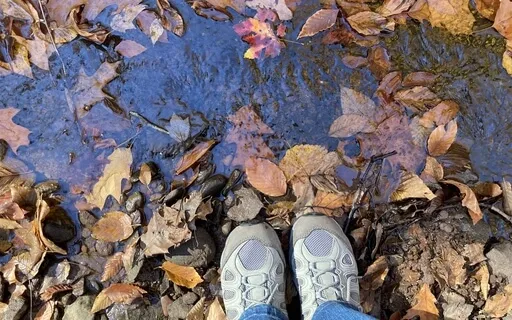 Little River In Forest - Live Recording