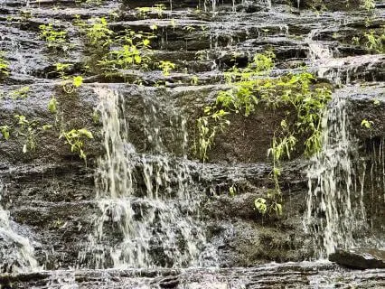 Little Waterfall Nature Soundscape