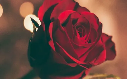 Little Women Podcast: Jo & Friedrich Engagement