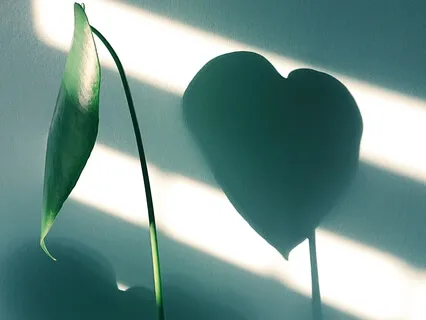 Любить То, что Делаешь. Радоваться Тому, что Можешь.