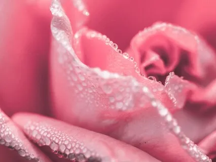 Любовь К Себе. Медитация