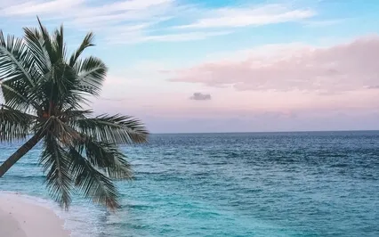 Любовь к Своему Телу