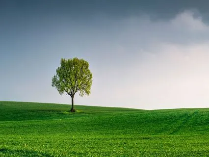 Live: Creating Your Genogram