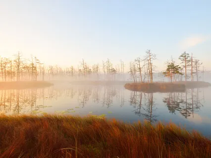 Sound Therapy - Live From Buffalo Bayou Park The Cistern In Houston, Texas