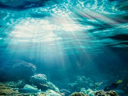 Live From Divine Mind 