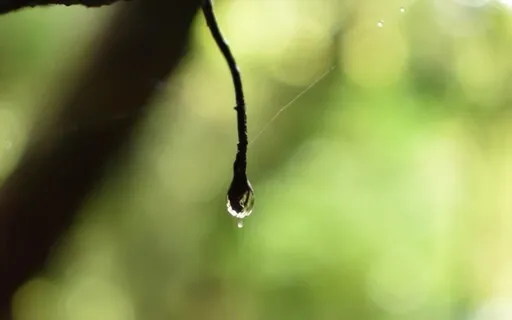 Live Meditation And Sound Journey For Healing And Relaxation