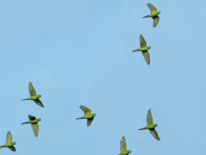 Live Meditation : Don't Take Anything Personally