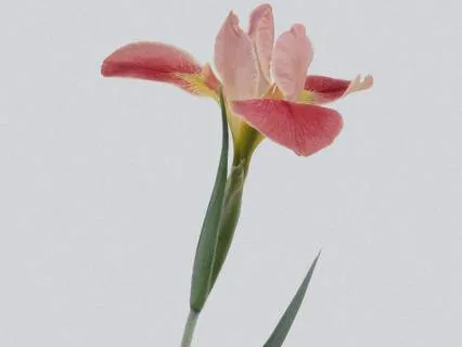 Live Meditation : Fifth Agreement