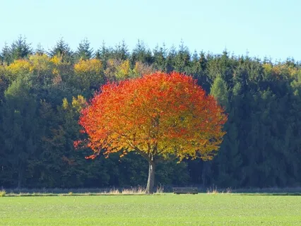 Live Performance October 9th - Love & Happiness